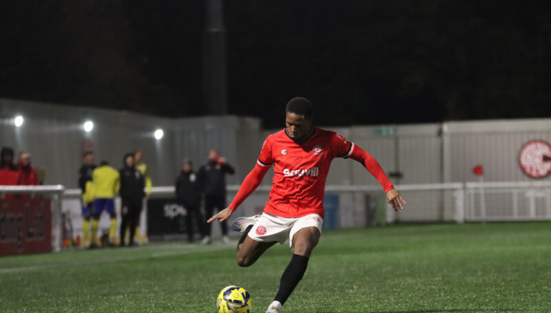 CHATS SIGN MIQUEL SCARLETT