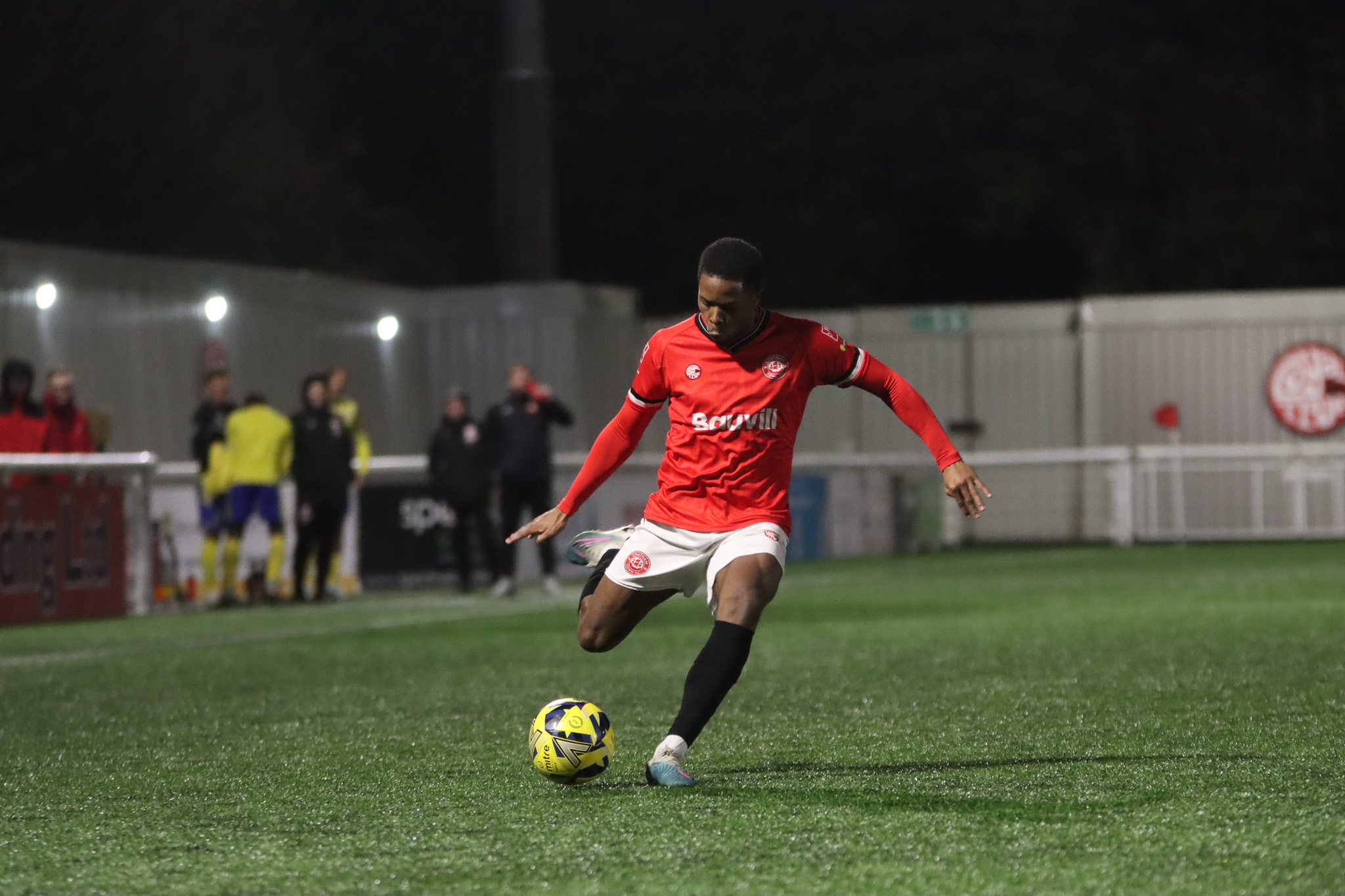 CHATS SIGN MIQUEL SCARLETT